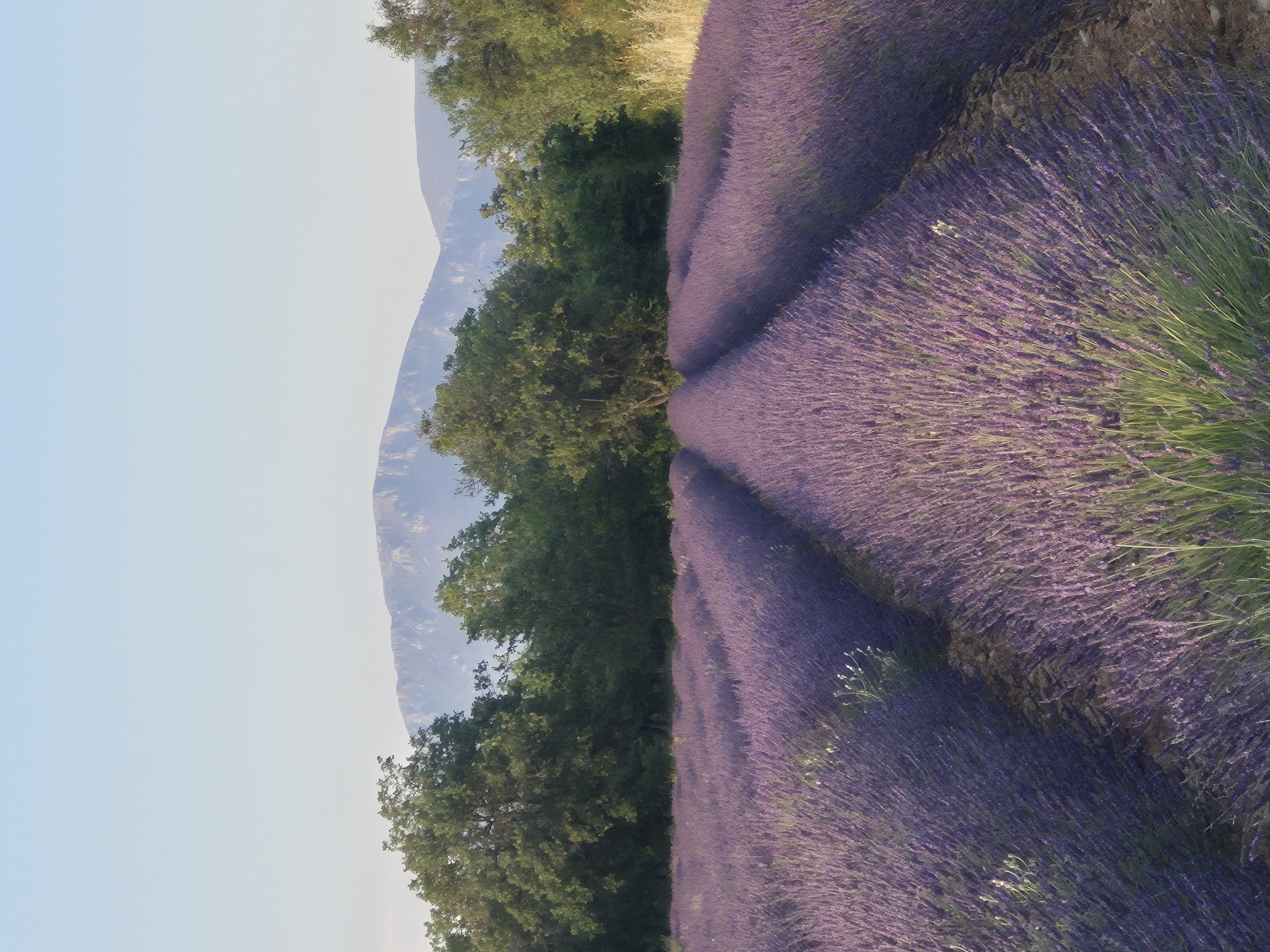 Photographier la Provence en van : spots et conseils depuis Aix-en-Provence