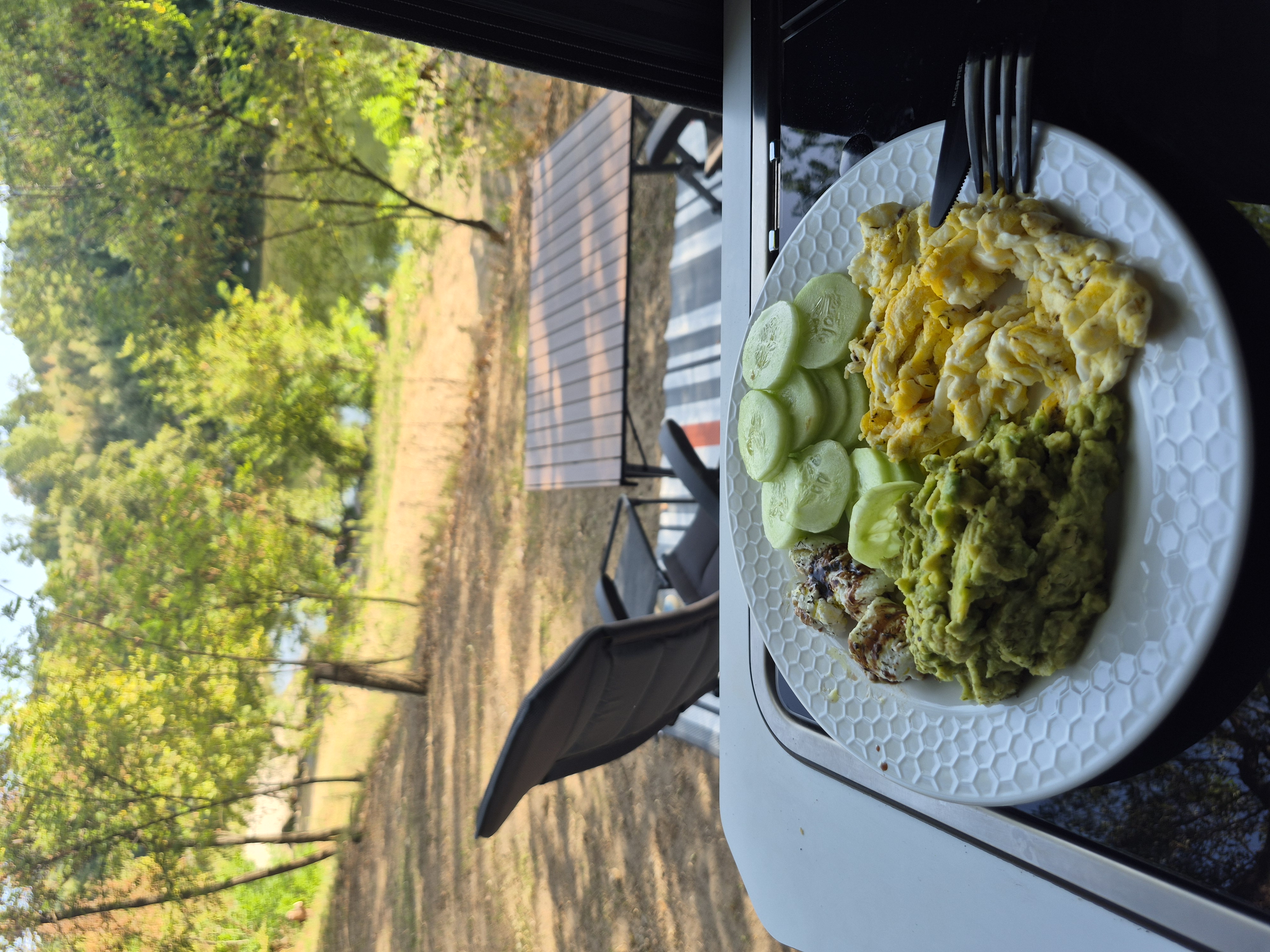 Bien manger en van en Provence : nos conseils pour voyager premium